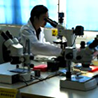 Visual Inspection